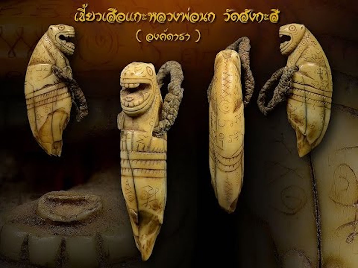 Luang Por Nok iger Tooth Amulet