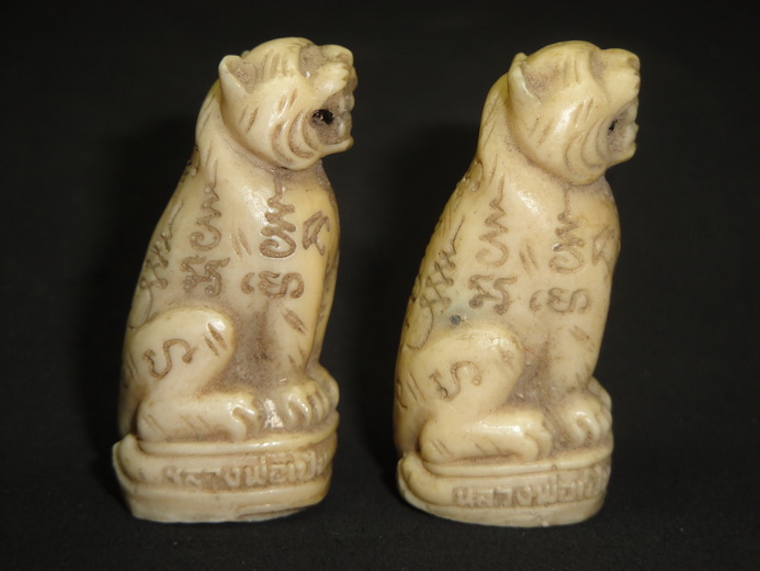 Suea Luang Por Phern Wat Bang Pra Tiger Amulet