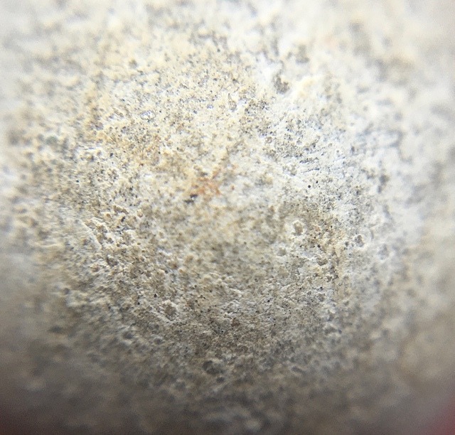 Close up of Muan Sarn Powders of Look Om Nuea Tao amulet