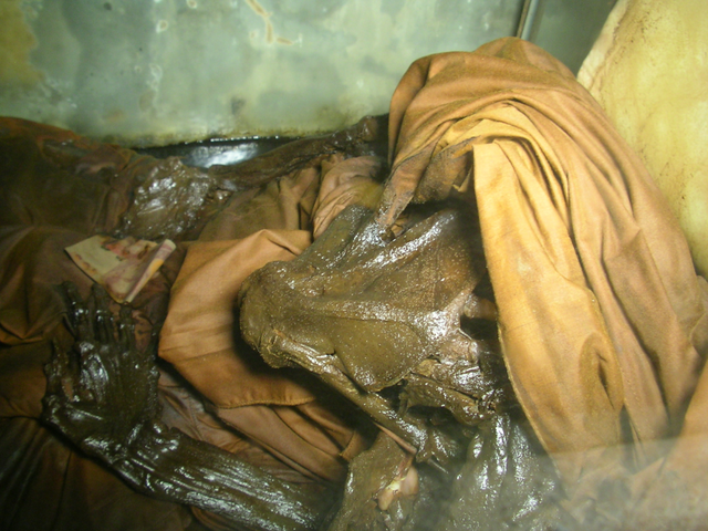 Palad Khik Hua Chamot Dtua Kroo Ud Muan Sarn Nuea Gna Chang Gae Fang Ploi Luang Por Pina